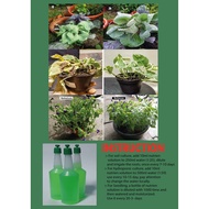 38ml Liquid Fertilizer Nutrient Solution Baja Concentrate Plant Nutrition Flower Houseplant ( Vitami