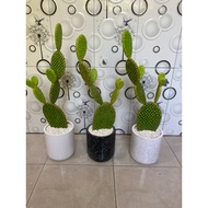 Mickey Mouse Cactus Artificial Plant (full set)
