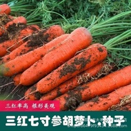Sanhong 7inch Ginseng Carrot Seeds Non-GMO Red Heart Carrot Seeds Autumn Vegetable Seeds Collection