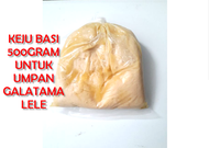 Umpan Keju Basi untuk Galatama Lele 500gram Dijamin Gacor Siap Pakai