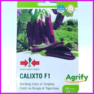 ⚦ ◴ ℔ Calixto Seeds Eggplant EastWest 300 seeds