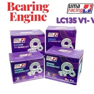 *HOT ITEM* UMA RACING ENGINE BEARING LC135 V1-V8