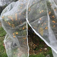 🔥Fruit Fruit Tree Insect-Proof Bird-Proof Cover Fruit Bagging Garbo Fruit Guava Fruit Cherry Carambo