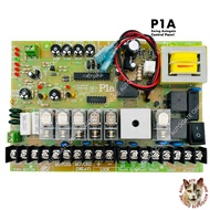 P1A Underground AutoGate Swing Board PCB Controller Board 12V/24V