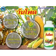One Pod Supplement Corn Accelerator Weight Gain Flour