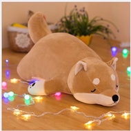 ️Lazy Akita dog teddy bear - Soft stuffed animal
