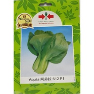 PREMIUM PAK CHOY SEEDS  Biji benih sawi Chinese cabbage/Pakchoy seed 小白菜种子Aquila  阿弟拉612 F1 Advansia 1000 seeds