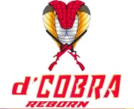 Mainan Dcobra Reborn Kemasan Rapi M378L - M-802