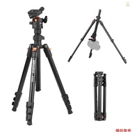 TRIOPO K268 Portable Photography Tripod Stand Aluminum Alloy 360°Panorama Ball Head 162cm/63.8in Max