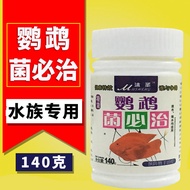 Musheng Parrot Fish Medicine Koi Goldfish Fish Medicine Parrot Fish Medicine Tropical Fish Ornamenta