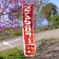 桑惠商號1967s日本櫻花牌底片 廣告紀念旗幟 さくらカラーN-100