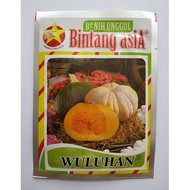 Waluh Wuluhan Yellow Pumpkin Seeds Pack - 10 Grams - Bintang Asia