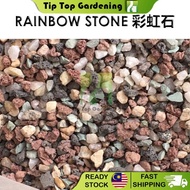 1Kg RAINBOW STONE SUCCULENT CACTUS STONE SOIL 3-6mm 彩虹砂