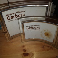 Daiso Glass Photo Frame Table Photo Frame Photo Frame 2 Pc Tc-0197