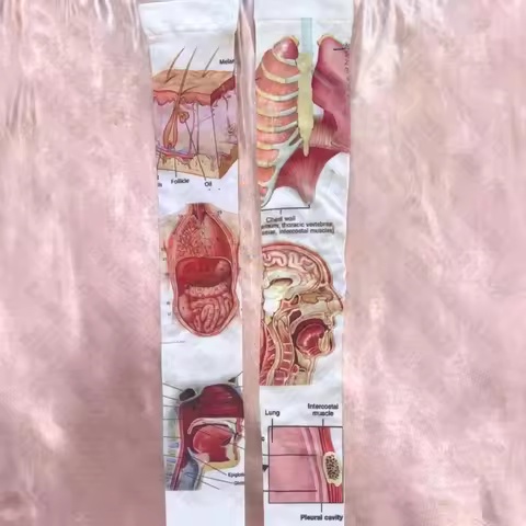 90s Aesthetic Y2k Print long Socks Women Socks Vintage Gothic Grunge Printing Over Knees Socks Y2k E