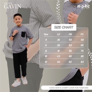 ️ Gavin STRIPED