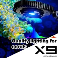 ZETLIGHT X 9 LED LIGHTING