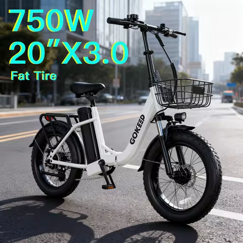 L20 E-Bike 750W motor 48V10AH folding mountain Electric Bicycle Mechanical brake 20*3-inch tire urba