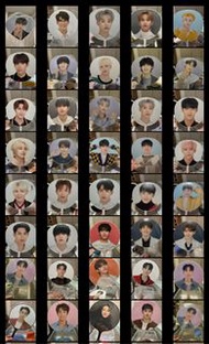 Seventeen 大扇