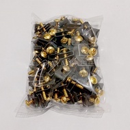 1 Pack of Vario Beat 4x16 Gold Clip Bolts / Honda all Matik Gold 4x16 Clip Bolts