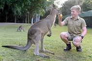 Australia Zoo &amp; Wildlife Hospital Ticket