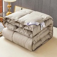 Five-star Hotel Duvet 95 White Goose Down Thick Warm Winter Quilt Spring and Autumn Quilt Duvet Inse