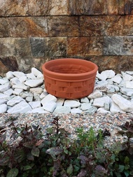 Paso Terracotta Dish Pot for bonsai plants 4x9 inches