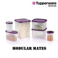 READY STOCK | Tupperware Modular Mates | Food Storage (Dark Purple Lid)