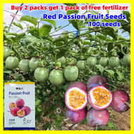 เมล็ดพันธุ์เสาวรส สีแดง Red Passion Fruit Seeds - งอกง่าย 100เมล็ด/ซอง คุณภาพดี ราคาถูก ของแท้ 100% เมล็ดพันธุ์ เสาวรส เมล็ดพันธุ์ เสาวรสหวาน ต้นไม้ผลกินได้ ทานได้ เมล็ดบอนสี ต้นบอนสี ต้นไม้มงคล เมล็ดพันธุ์ผลไม้ ไม้ประดับ เมล็ดพันธุ์ผัก Seeds for Planting