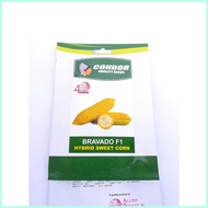 ▼ Condor Bravado F1 Hybrid Sweet Corn Seeds