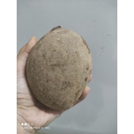 Bambangan buah Bambangan Fresh