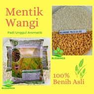 Benih Bibit Padi Mentik Wangi