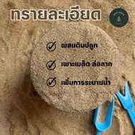 ทรายละเอียด ราคาถูก ดินปลูกต้นไม้ ดินปลูกแคคตัส ผสมดินปลูก วัสดุปลูก