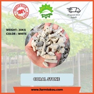 [READY STOCK] AQUARIUM CORAL STONE / BATU KARANG AKUARIUM (1KG)