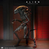 Action Figure Alien NECA Romulus Figma SP-108 Movable Figure
