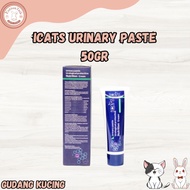 ICats Urinary Paste Protective Nutrition Paste 50gr