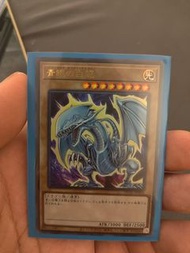 青眼白龍