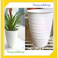 EKSLUSIF Pot Bunga Murah Pot Bunga Pot Bunga Putih Pot Bunga Plastik