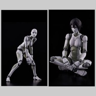 全新 日版 1/12 東亜重工 合成人間 可動女素體