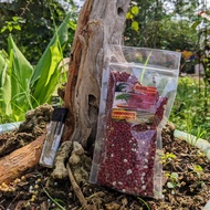 Pupuk Osmocote Decastar Slow Release Pupuk Tanaman Hias Aglonema Anggrek Bonsai dll