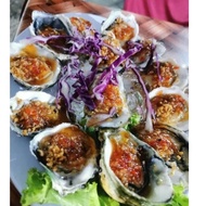 1 Kg Tiram segar / Live Oyster / Tiram Tempatan / Tiram Fresh / Fresh Oyster / Tiram Hidup