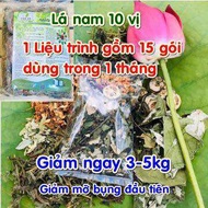 Giảm cân lá nam 10 vị (thập vị) giảm mỡ bụng mỡ máu.
