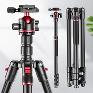 Tripod Camera Mobile Phone Tripod Retractable Live Streaming Photography Multi-Function q173cm Camer