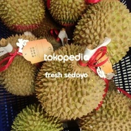 durian musang king malaysia segar utuh 1buah asli