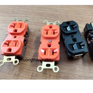 20A 125V power outlet (according to American standards), 20A 125V power outlet