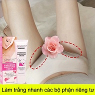 Area Whitening Cream 60g Underarm Whitening Cream Intimate Area Knee/Elbow Whitening