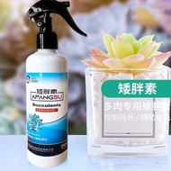 【Special Offer】Hanwu Succulent Special Short Stout Element Prevention Leaf Length Control Succulent Nutri