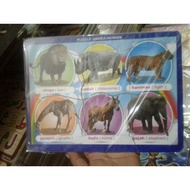 Wooden puzzles of various animals