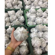 🔥BEST SELLING 🔥 SALES HERBA MANDIAN IBU BERPANTANG / DAUN SEROM /MANDIAN HERBA MURAH