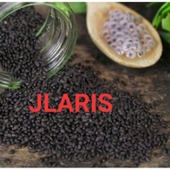 Good quality basil seeds 100g Basil Seed Organic